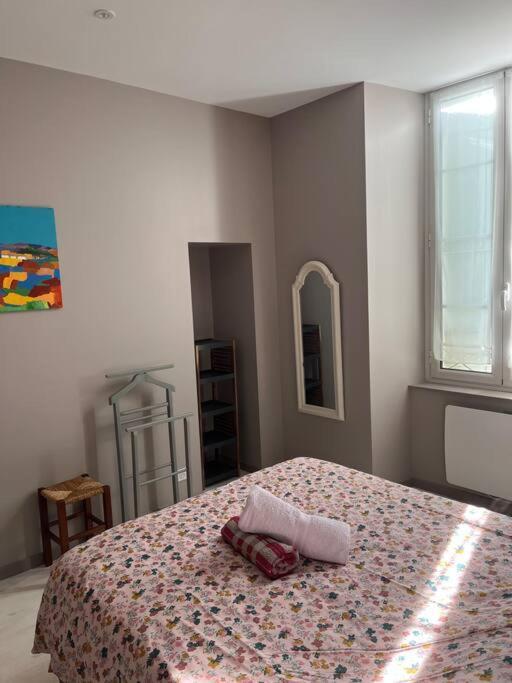 Superbe Appartement Plein Centre Millau Extérieur photo