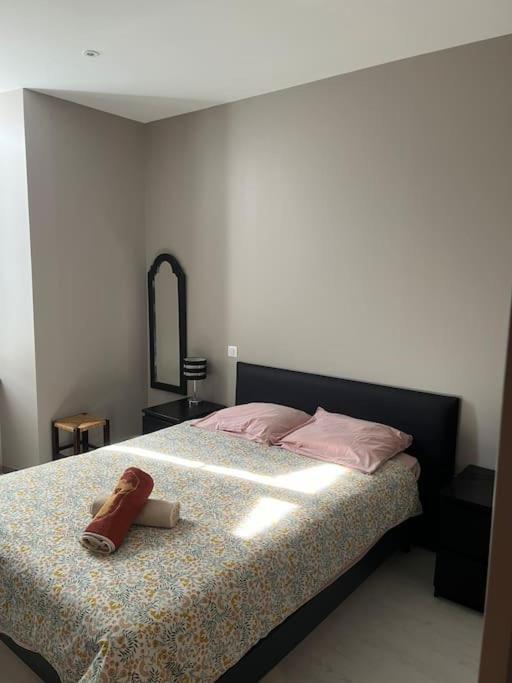 Superbe Appartement Plein Centre Millau Extérieur photo